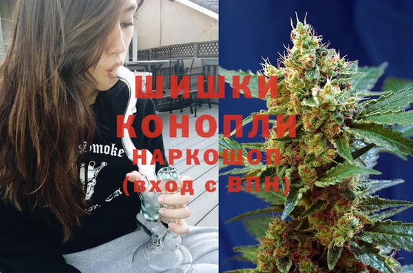 ГАЛЛЮЦИНОГЕННЫЕ ГРИБЫ Алзамай